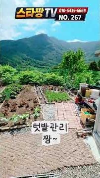 [267] 1억중반대..126평 텃밭 품은 힐링 주말주택, 딱 이 정도면 됩니다 #밀양부동산 #밀양전원주택매매 #밀양주말용주택 #밀양산내면전원주택 #밀양촌집매매 #밀양시골집