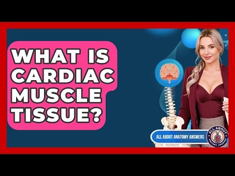What Is Cardiac Muscle Tissue? - All About Anatomy Answers