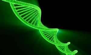 Digital Footage Dna Structure Color Background Stock Footage Video (100% Royalty-free) 481726 | Shutterstock