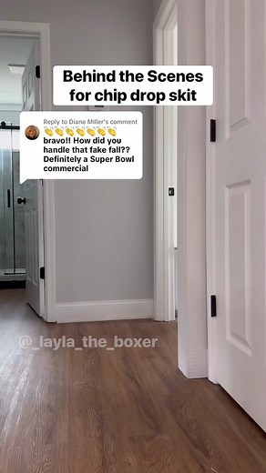 Layla the Boxer (@_layla_the_boxer) - Funny Dogs Behind the Scenes | Dog Actors in Action