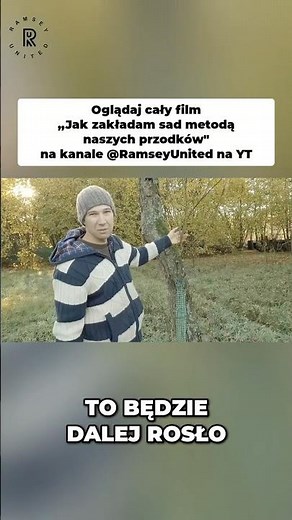 👨‍🌾🍐 Odmiana starej gruszy szczepiona przed II wojną światową! 🇵🇱😮 #sadownictwo #rolnictwo