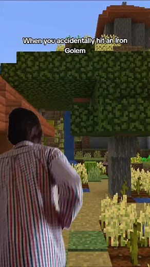 Mara Keh! Iron Golem Mistake in Minecraft