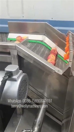 Bubble washing machine | apple washing machine | fruit washer #fruits #vegetablefarming