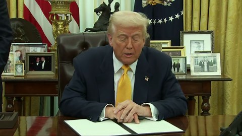 White House creates FIFA World Cup task force