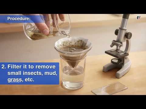 eScience 8 Based on NCERT Curiosity—Activity 04