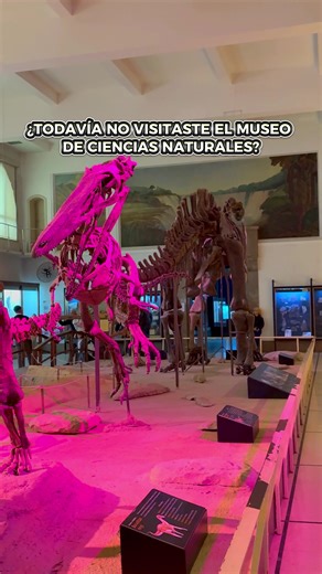 🦖 Buenos Aires tiene uno de los museos más fascinantes de Argentina y en youtube recorremos el increíble Museo de Ciencias Naturales. Descubrimos dinosaurios gigantes, fósiles originales y exhibiciones de paleontología que muestran millones de años de historia natural. Durante el recorrido exploramos exhibiciones únicas, colecciones científicas y espacios educativos ideales para toda la familia. Uno de los museos más importantes y visitados de Argentina. 🌎 Si buscás qué hacer en Buenos Aires, 