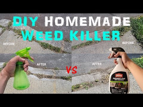 How to Make Homemade Weed Killer | Easy DIY Natural Weed Killer