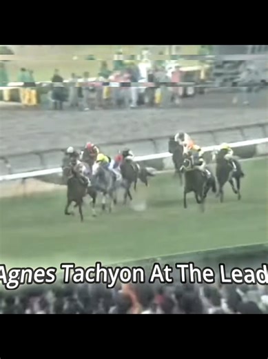 Agnes tachyon?! || Lazy edit tbh | Umamusume edit || I'm tired #umamusumeprettyderby #foryoupage #agnestachyonedit #Anime #umamusumeedit