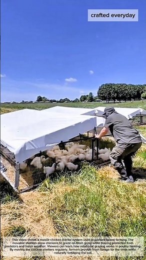 Mobile Chicken Tractor System for Free-Range Farming #craftedeveryday