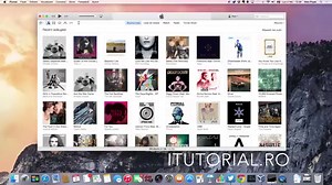 Cum transfer / adaug muzica pe iPhone, iPad sau iPod de pe Mac sau PC