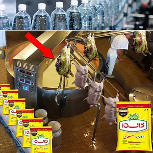 959K views · 27K reactions | Dalda Banaspati Ghee & Cooking Oil Making Process in Urdu/Hindi | Daily Point | Foodies PK | Facebook