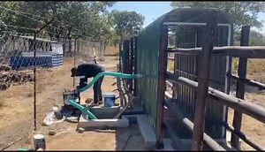 Efficient Dipping with Agrirocket Engineering's Spray Race Our spray race system requires only small volumes of dip, allowing for the preparation of fresh solutions at each dipping session. This approach offers significant advantages, as it enables regular tank cleaning and the flexibility to change the type of dip from one session to the next. Experience the ease and effectiveness of tick-borne control with Agrirocket Engineering's innovative spray race. #sprayrace #cattle #dipping #tickborneco