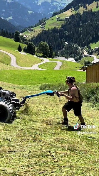 Harvesting in the Swiss Alps