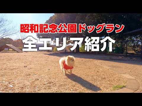 All the areas of the SHOWA KINEN PARK dog run!