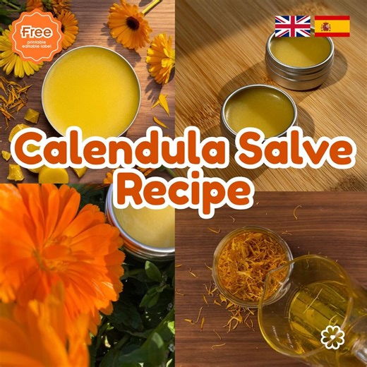 Calendula Salve Recipe, Printable Label, DIY Herbal Balm Tutorial With Calendula Petals - Etsy