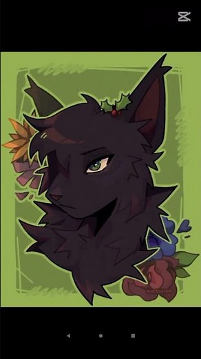 HawkFrost,Hollyleaf,JayFeather And Ivypool
