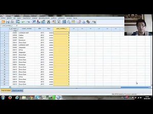 Diseño de consulta y minería de datos en SPSS + Gráfico + Informe Final