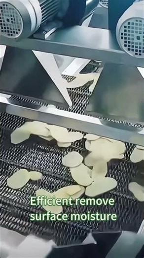 🔥 Premium Ginger Powder Processing Line | Efficient & Flavor-Preserving 🌿#gingertime #gingerpowder