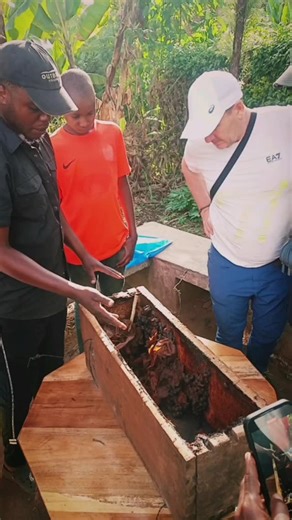 Machame Cultural Tourism on Instagram: "Visitors are given a detailed explanation about stingless bees, learning how these unique bees produce their honey. The guide explains the entire process, from how the bees collect nectar from different flowers to how they carefully transform it into honey inside their small hives. Guests also learn why these bees are special, as they do not sting and play an important role in pollination and protecting the natural environment. The importance of their hone