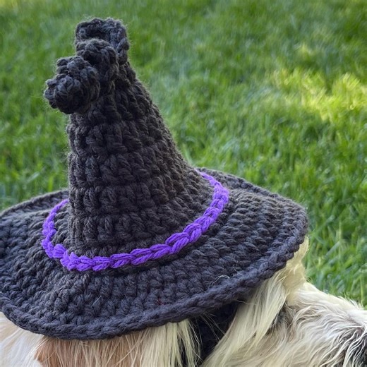Wicked Witch Pet Hat - Black - Halloween Crochet Costume for Small Dogs and Cats - Etsy