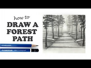 How to Draw a Beautiful Realistic Forest Path with Pencil | EASY for Beginners! | IAmShaneBurke