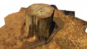 Tree Stump II - 3D model by Free 3D Models (@free3dmodels)