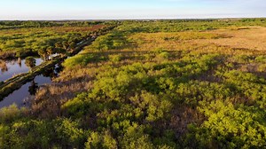 4.5K views · 245 reactions | Have you seen our documentary short? It features the iconic Wood Stork, its critical habitat in Audubon's Corkscrew Swamp Sanctuary, and what Audubon Florida is doing to protect the species. Watch the full film here: https://bit.ly/3GLkFmZ | National Audubon Society | Facebook