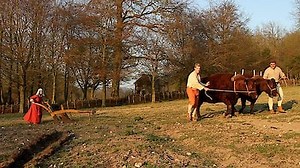 Watch Tudor Monastery Farm Season 1 Episode 1 - Episode 1