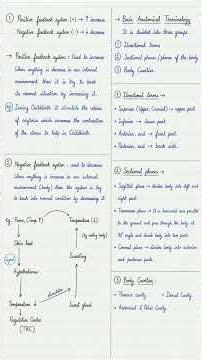 1. 📚✨ Homeostasis + Basic Anatomical Terminology — simplified notes for easy learning! 🧠🫀