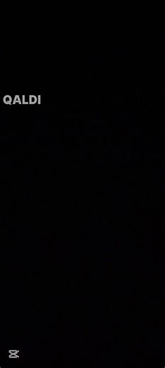 Vortex Tutorial: Live Music Performance Guide