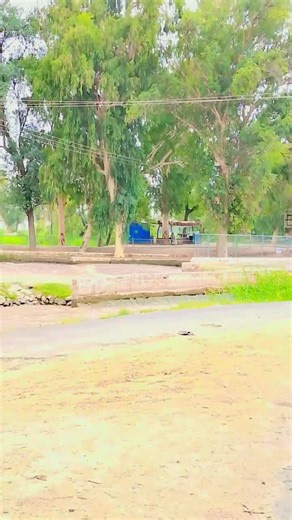 #foruyou #viral_video #unfreezemyacount #pleasegoviral