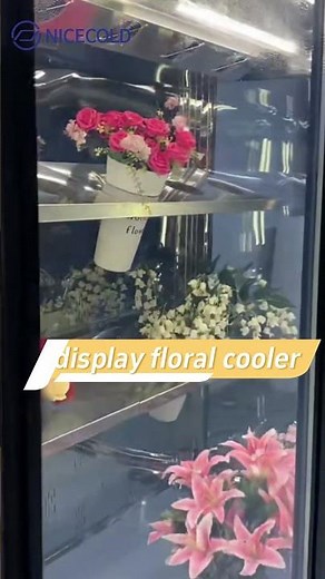 customzied display floral cooler room for flower shop