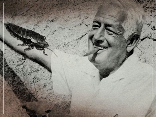 Exploring William Castle’s love of cinema gimmicks