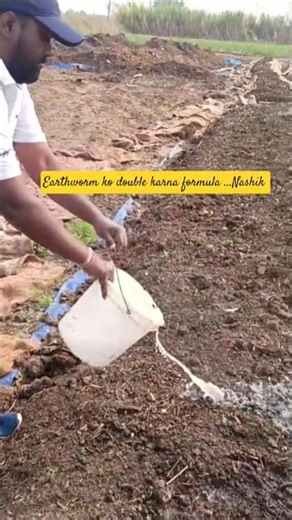 वर्मी कम्पोस्ट में केंचुए तेजी से बढ़ाने की ट्रिक|Vermicompost Mein Kechue Double Karne Ki Trick