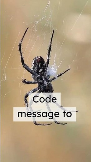 How Do Spiders Catch Prey in Their Webs?