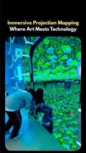 Immersive Projection Mapping: The Future of Visual Experiences #immersive #illusion