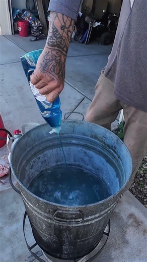 Cleaning Javelina Skull Short