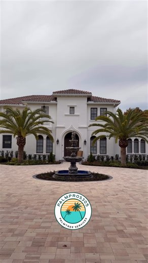 PALM PROS 305 on Instagram: "Palm Trees For Sale 🌴 📍Florida 📲 DM For more information ℹ️ 🚚 We can ship anywhere Installation available • Certified Canary Dates Palms ✅Canary Date ✅Delivery Free ✅Get a quote today, contact us at:954-799-7275 #landscapearchitect #landscapecontractor #landscapephotography #landscape #landscaping #landscaper #floridalandscaping #landscape_lovers #landscapearchitecture #datepalms🌴 #exceptionalpalms #datepalm #medjool #date #palms #zahidi #canaryislanddatepalm #c