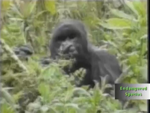 大学思辨英语教程视听说3_观察社会_U1S2P203_Skills and Strategies