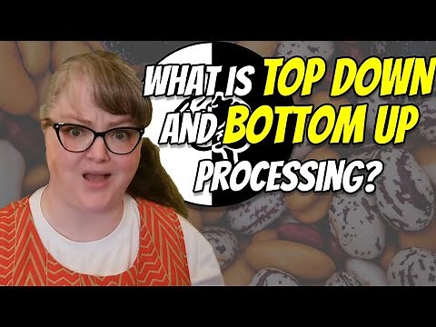Top Down and Bottom Up Processing: How sensing becomes perceiving