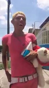 84K views · 547 reactions | Fashion french poodle está de regreso!! 藍藍藍  Like ala pagina para mas videos !! | Sr Gordo | Facebook