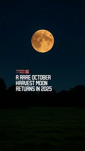 A Rare October Harvest Moon Returns in 2025 - A rare celestial event is set to light up the night sky in October. But what makes this Harvest Moon so unusual? Why does it align so precisely with the autumn equinox? And how often does this phenomenon truly happen? It’s far less common than you might think. Watch to uncover the story behind this extraordinary October moon. | The Brain Maze