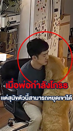 เมื่อพ่อกำลังโกรธ...แต่หมากลับหยุดเขาไว้ได้ !!