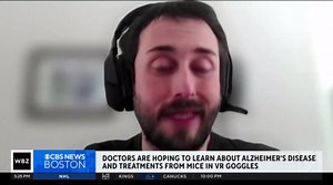 Scientists use virtual reality goggles on mice to learn more about memory