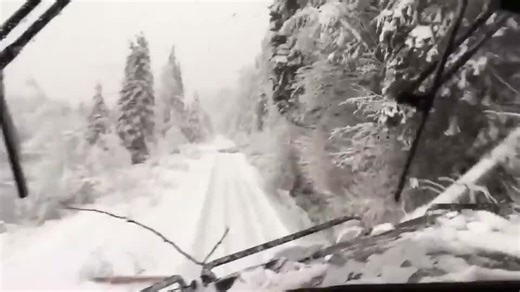 Train Plows Through Trees After Snow Storm