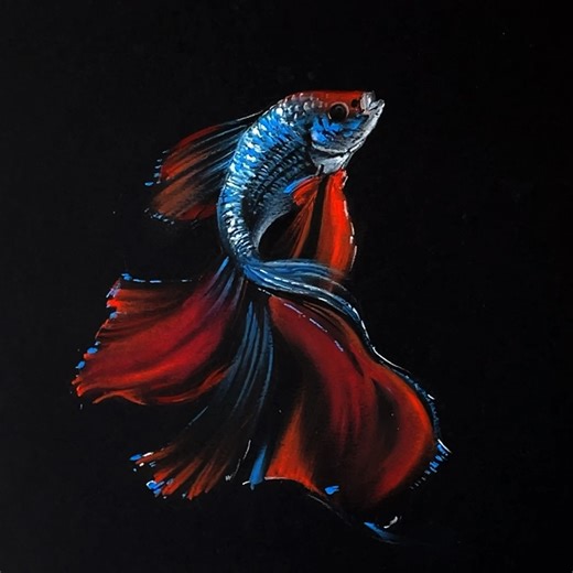 83K views · 1.1K reactions | Drawing of a beautiful betta fish - oil pastel drawing #drawing #art #painting | Morning Drizzle | Facebook