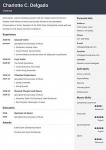 How to Make a Video Resume [Examples, Script & Tips]