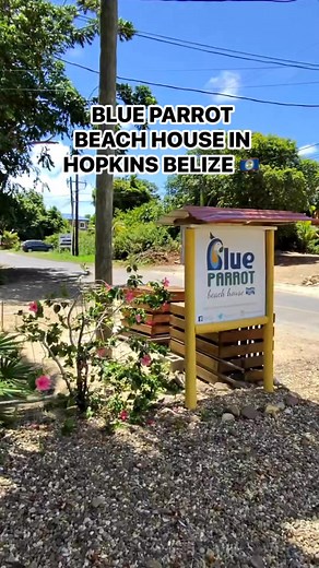Check out Blue Parrot Beach House when you come to Hopkins! #Belize | Travel with Chelo