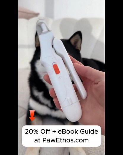Tired of the barking, squirming, and stress every time you trim your pet’s nails? Meet the PawEthos LED Nail Clipper & Grinder — the gentle 2-in-1 grooming tool that keeps your pet calm and your home scratch-free. ✨ LED light shows the quick clearly 🔇 Whisper-quiet motor for relaxed trims ✋ Easy one-hand control for total confidence 👉 Make nail day peaceful again — Shop PawEthos now! | PawEthos