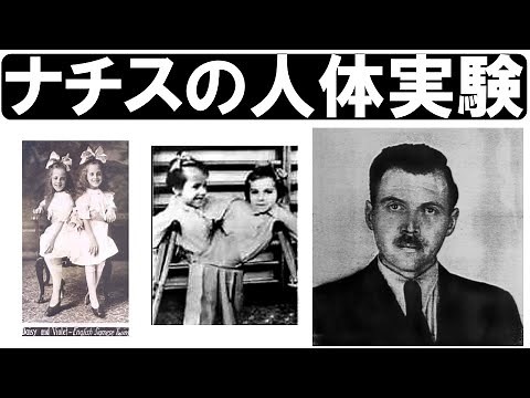 【ゆっくり解説事件】ナチスドイツ行われた人体実験双子実験とヨーゼフ・メンゲレ【実話】【歴史】